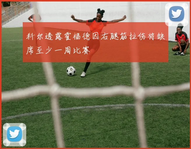 科尔透露霍福德因右腿筋拉伤将缺席至少一周比赛