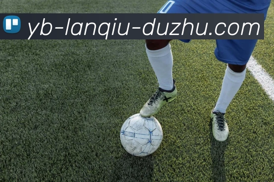 篮球赌注品牌故事