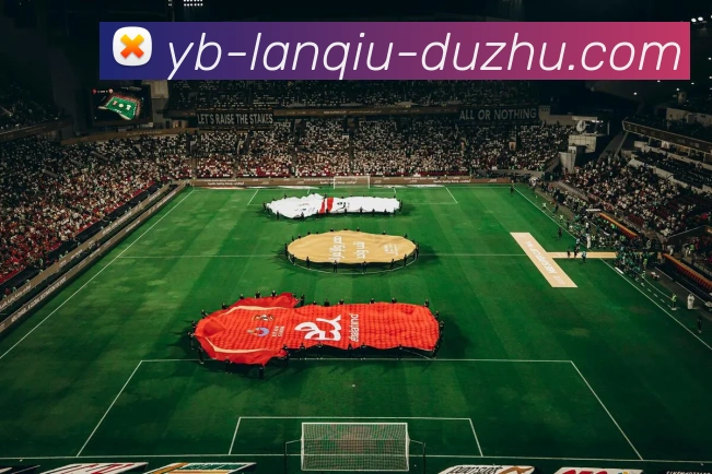 多媒体互动体验